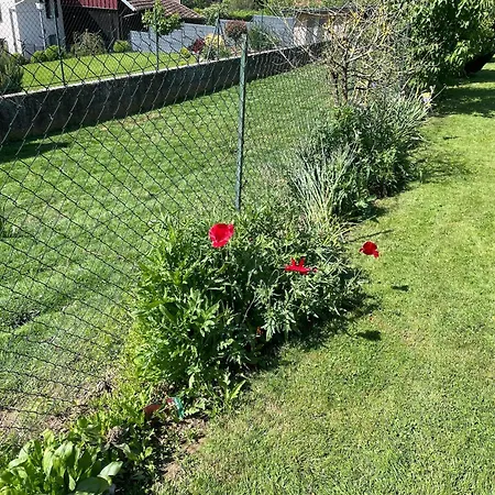 In Near Lake, Cleaning Included * Ruederbach